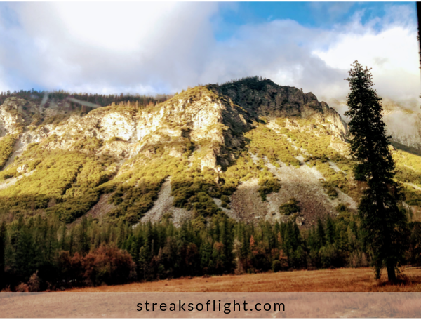 Yosemite-national-park-ca