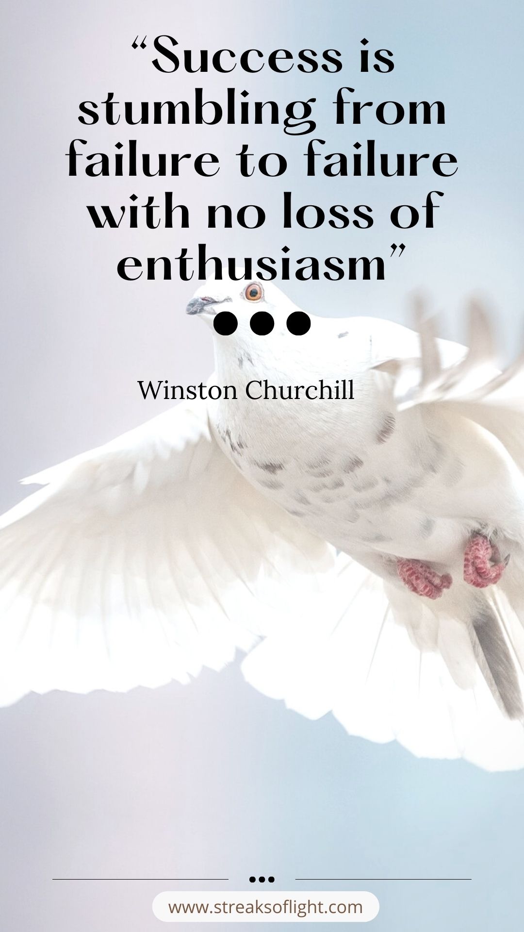 Quote: "Success is stumbling from failure to failure with no loss of enthusiasm." Winston Churchill 

White bird in the background
Post - Small wins